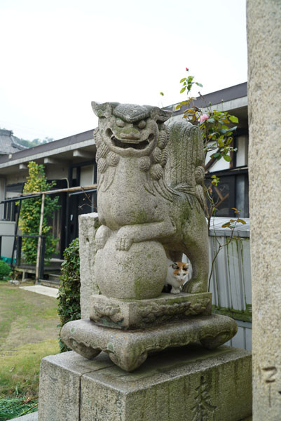 DSC04041