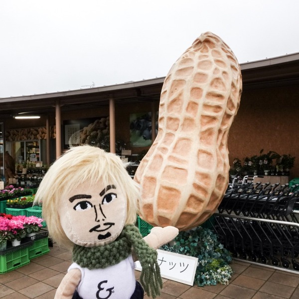 LRG_DSC08565
