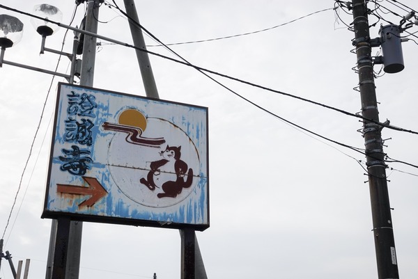 LRG_DSC08787