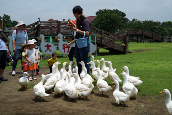 20160702-DSC06631