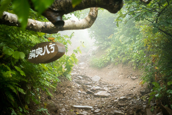 20170904-DSC08109