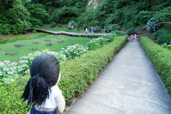 20160703-DSC07329