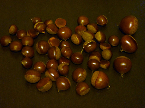 P1150334