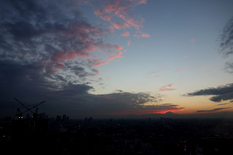 DSC00317