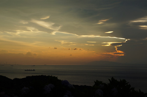 DSC00598