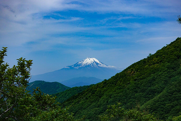 IMG_8858