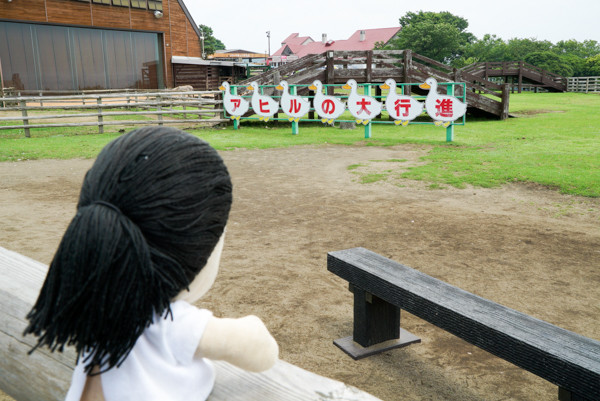 20160702-DSC06603