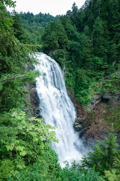 ORG_DSC05337