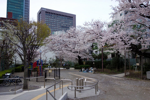 DSC00590