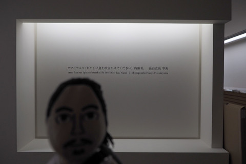 P4231579