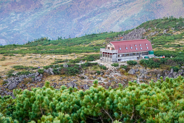 _DSC5695