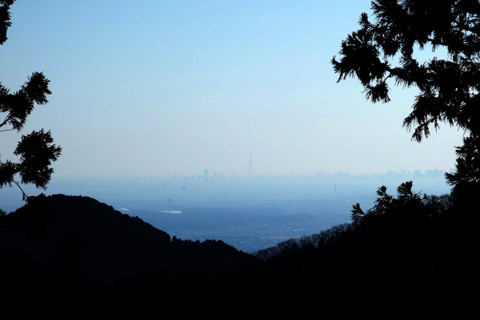 DSC01732