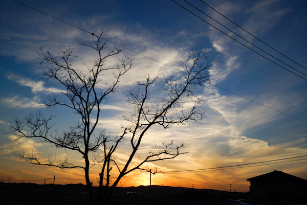 20161202-DSC04258