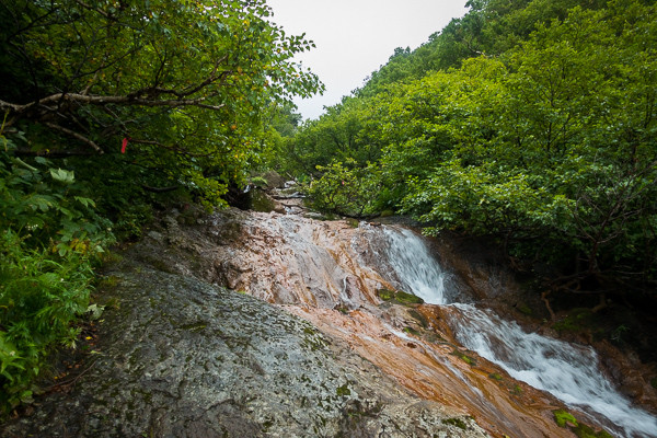 20170904-DSC08088