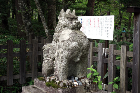 DSC06541