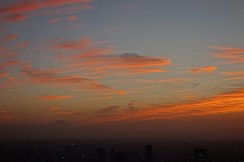 DSC07491