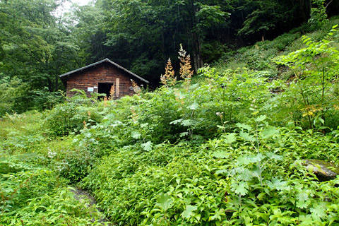 P8250058