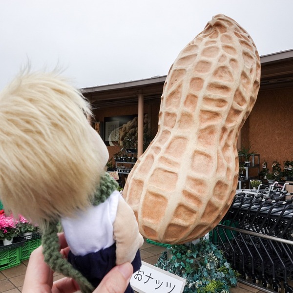 LRG_DSC08562