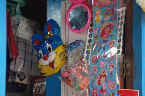 DSC06252