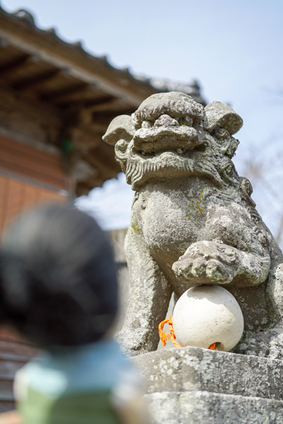 20170226-DSC08981