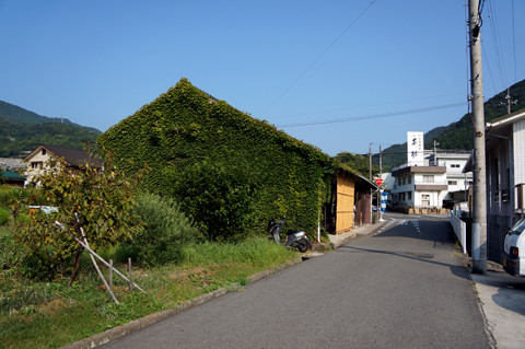 DSC06882