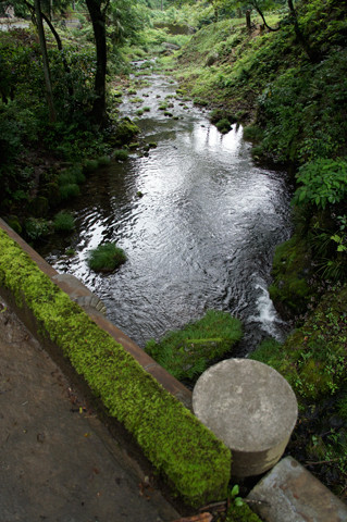 DSC03371