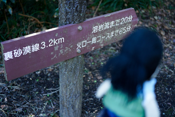 20170203-DSC08129
