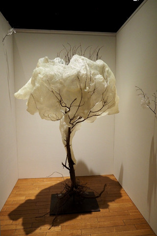 P5031709