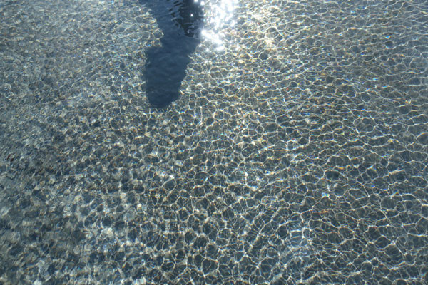 DSC09239