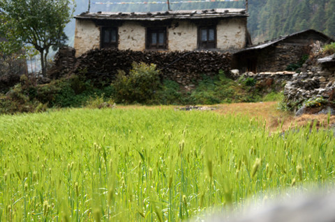 DSC06244