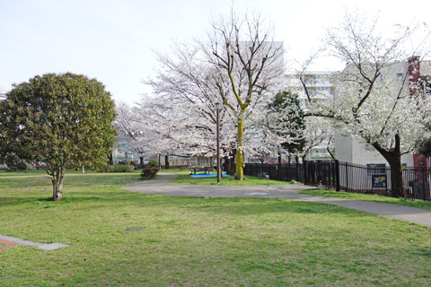 DSC00562