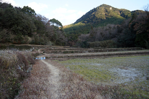 DSC08906