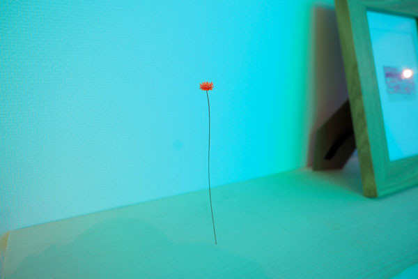 P8280290