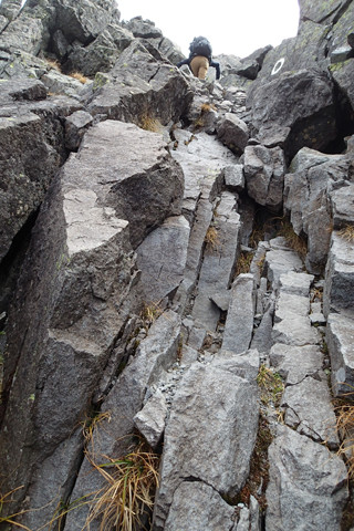 P9230194