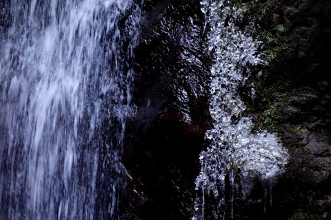 DSC01778