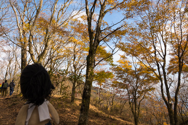 20171104-DSC05303