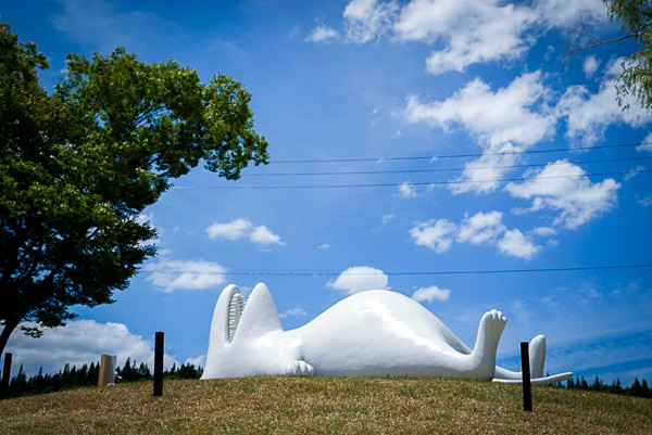 LRG_DSC04501