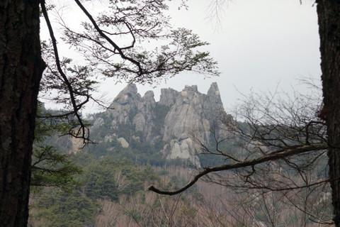 DSC04545