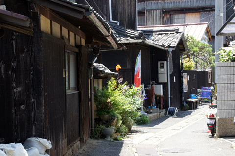 DSC04529