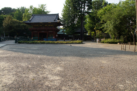 DSC09190