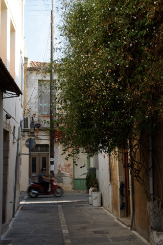 DSC07525