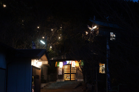 DSC08951
