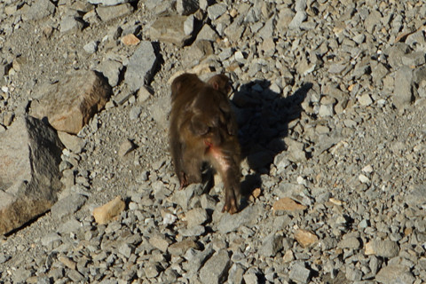 DSC09044