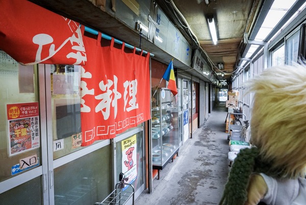 LRG_DSC08635