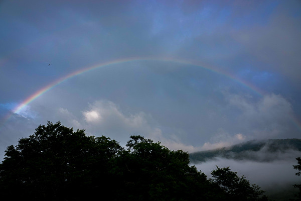 ORG_DSC05368