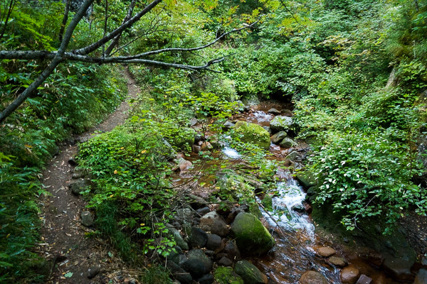 20170904-DSC08066