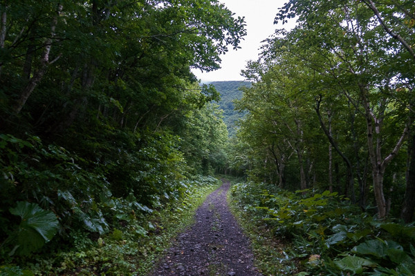 20170904-DSC08063