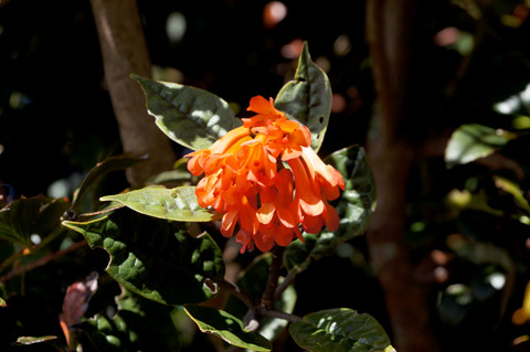 DSC01569