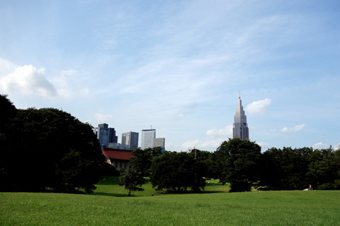 DSC05614