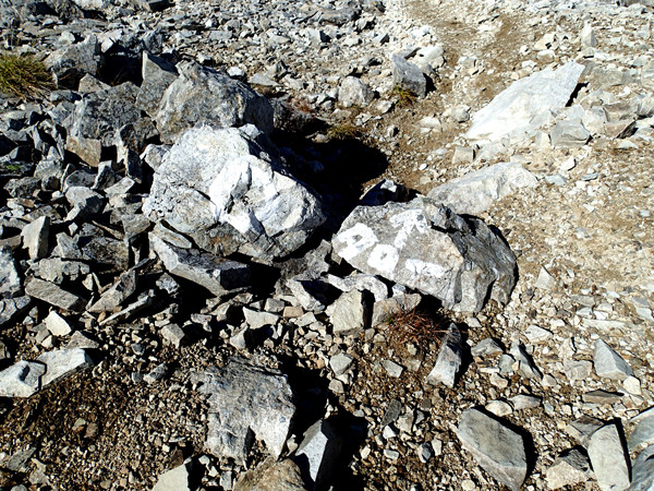 P9140868
